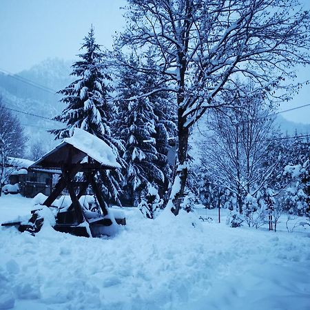 Cabana Valea Rea, Boga Boga  Exterior foto