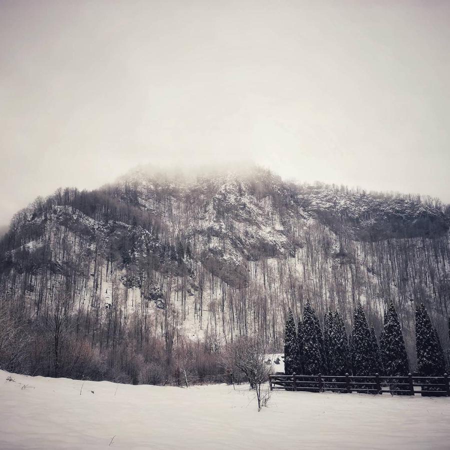 Cabana Valea Rea, Boga Boga  Exterior foto