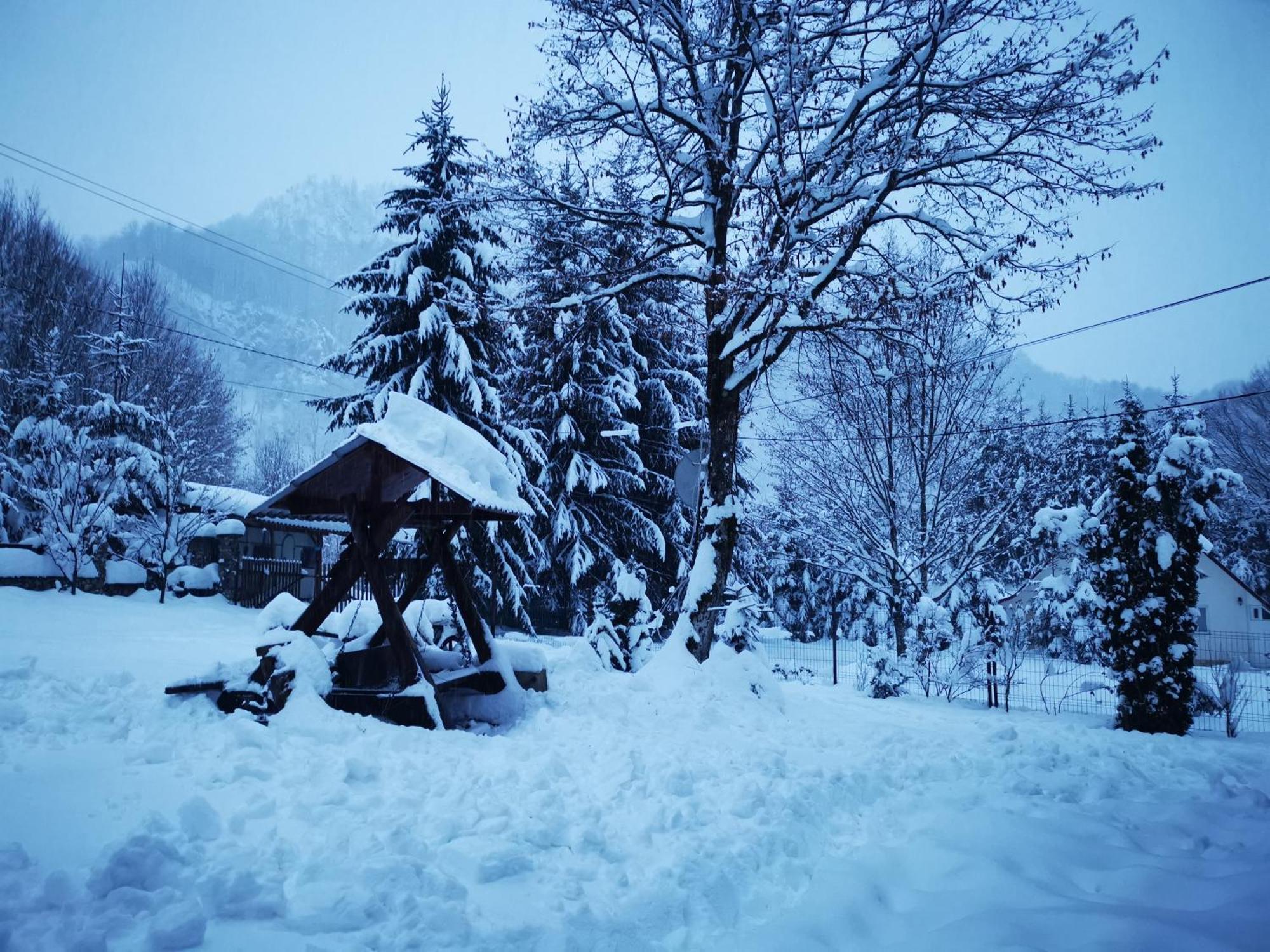 Cabana Valea Rea, Boga Boga  Exterior foto