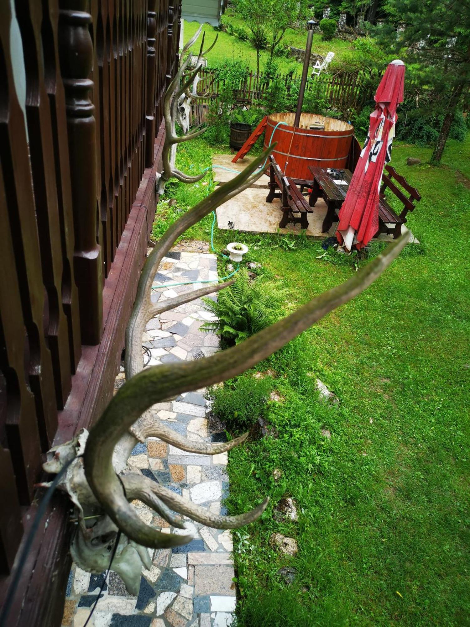 Cabana Valea Rea, Boga Boga  Exterior foto