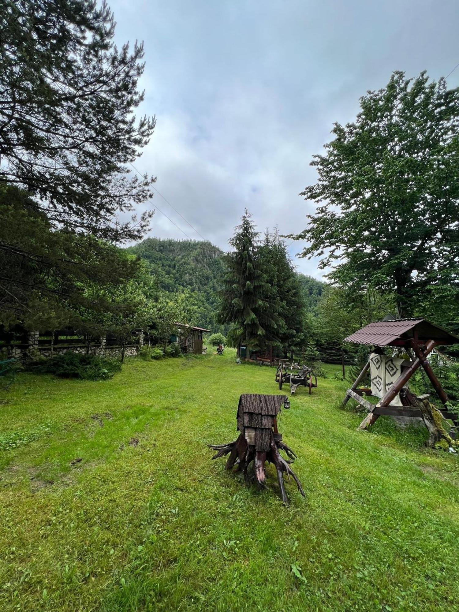Cabana Valea Rea, Boga Boga  Exterior foto